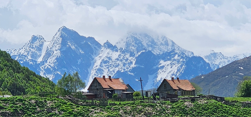 фото услуги