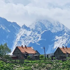 фото услуги