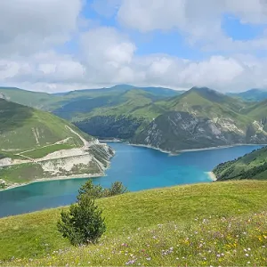 фото услуги