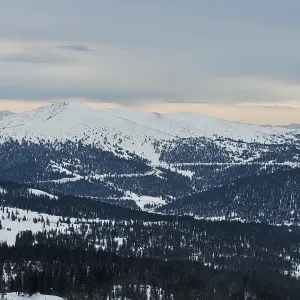 фото набора